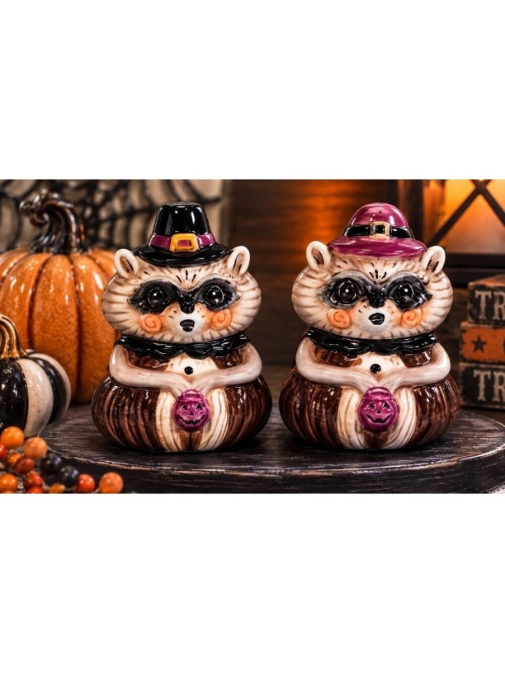New Johanna Parker Thanksgiving Pilgrim Raccoon Salt Pepper Shakers Boxed Set